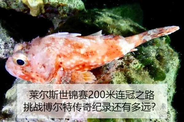 莱尔斯世锦赛200米连冠之路 挑战博尔特传奇纪录还有多远？