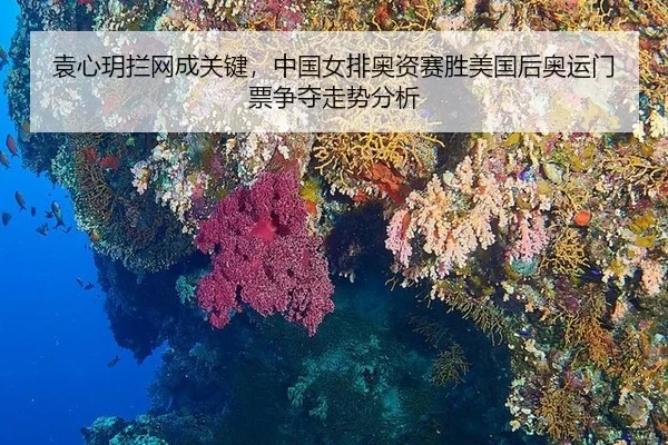 yuan-xin-yue-lan-wang-cheng-guan-jian-zhong-guo-nv-pai-ao-zi-sai-sheng-mei-guo-hou-ao-yun-men-piao-zheng-duo-zou-shi-2-465.jpg
