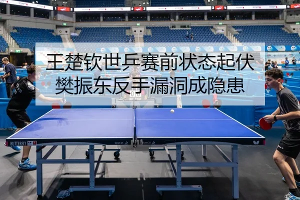 wang-chu-qin-shi-ping-sai-qian-zhuang-tai-qi-fu-fan-zhen-dong-fan-shou-lou-dong-cheng-yin-huan-3-704.jpg